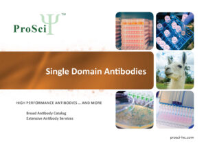 Single domain antibody development from ProSci