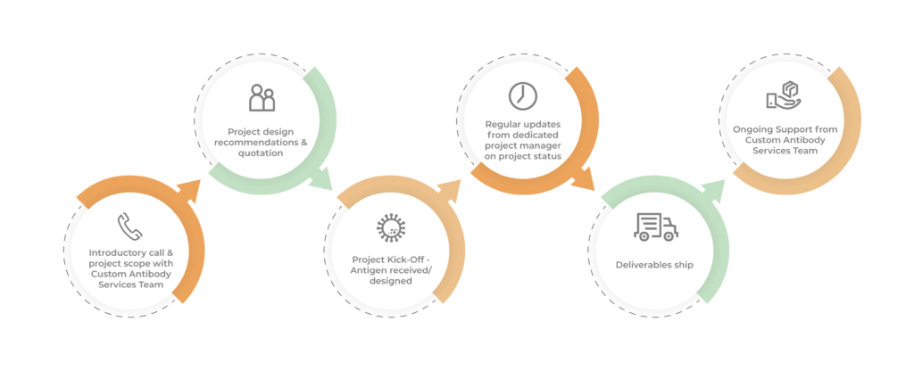 ProSci custom antibody service process