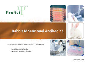 Rabbit monoclonal antibody brochure from ProSci
