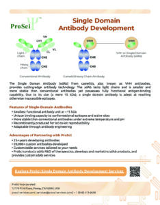 Single domain antibody services from ProSci